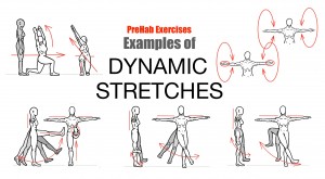 flexibledynamicstretching02